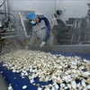 Vietnamese firm exports canned clams to Europe 