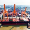 Vietnam-Malaysia-India container shipping route to be inaugurated 