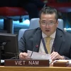 Vietnam calls for political progress towards elections in Libya