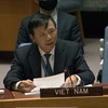 Vietnam supports reform of UN Security Council