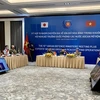 Vietnam co-chairs 15th meeting of Experts' Working Group on Peacekeeping Operations