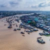 Workshop discusses Mekong Delta sustainable development