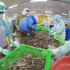 Vietnam ranks fifth among aquatic product exporters of Japan