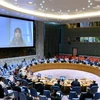 Vietnam highlights importance of long-term political solution for Syria