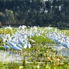 Photo contest on conservation, sustainable use of wetlands calls for entries
