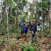 Sustainable livelihoods needed for forest conservation