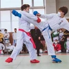 Karate tournament organised for Vietnamese expats in Japan