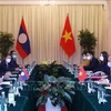 Vietnamese, Lao foreign ministers co-chair 8th political consultation 