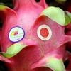 Binh Thuan strives to optimise protected GI of dragon fruit in Japan 