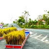 Fifth Vietnam Rice Festival underway in Vinh Long