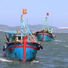 Ninh Thuan works to enhance offshore fishing capacity