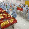 Vietnam looking to expand export to Eurasian market