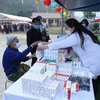 Drug administration requests no shortage of medicines during Tet