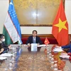 Vietnam, Uzbekistan hold deputy ministerial-level political consultation