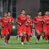 Vietnam hope to gain points in match with Australia: head coach