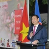 Vietnamese people in Egypt, Russia celebrate Lunar New Year