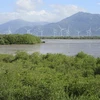 Ninh Thuan sets to grow more coastal forests for protection, green cover