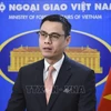 Ambassador Dang Hoang Giang begins tenure as head of Vietnam's permanent delegation to UN 