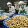 Cashew sector predicted to secure good export growth in 2022