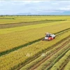 Rice produced by multi-stakeholder partnership shipped abroad