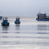 Ben Tre targets no ships infringing foreign waters while fishing
