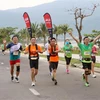 Vietnamese runners win big at Da Nang Int’l Marathon