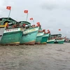 Ca Mau monitors fishing vessels going through estuaries