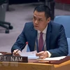 Vietnam wants to contribute more to UN’s common agenda: Ambassador