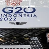 Indonesia proposes standardisation of G20 travel rules