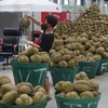 Thailand targets 8.53 billion USD in fruit exports in 2022