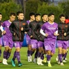 Vietnam face challenges before clash with Japan