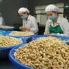 Great progress reported in settlement of suspected cashew nut scam in Italy