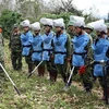 Vietnam shares experience in post-war landmine clearing