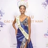 Miss Ethnic Vietnam beauty contest a ‘cultural ambassador’