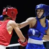 Vietnam wins two golds at Thailand Open International Boxing Tournament