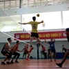 Huge task for Vietnamese volleyball teams at SEA Games