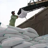 Vietnam’s rice export turnover up 10.5 percent in Q1