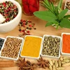Vietnamese spices festival to be held in HCM City