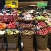 Thailand’s fresh mango exports up 15 percent in Jan-Feb