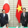 Vietnam-Japan relations growing robustly: expert 