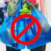 Vietnam to ban plastic bags from markets by 2030