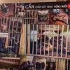 Hanoi home to most “bile bears” in Vietnam: seminar