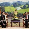 Vietnamese Party delegation visits Laos