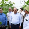 President presents gifts to senior citizens in Hai Duong