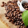 Coffee export turnover exceeds 2 billion USD in five months
