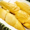 Vietnam expects to export durian to China via official channels this year