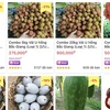Provinces turn to e-commerce to sell agricultural produce