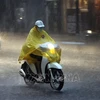 Northern, central regions enter prolonged rainy spell