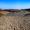 Vietnam seeks to effectively prevent land degradation, desertification