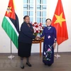 VUFO President suggests Vietnam, Mozambique maximise strengths to deepen friendship